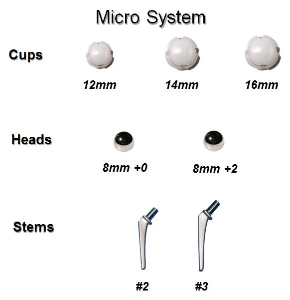 Global Vet Specialists Worldwide Veterinary Surgeon Services For Dogs